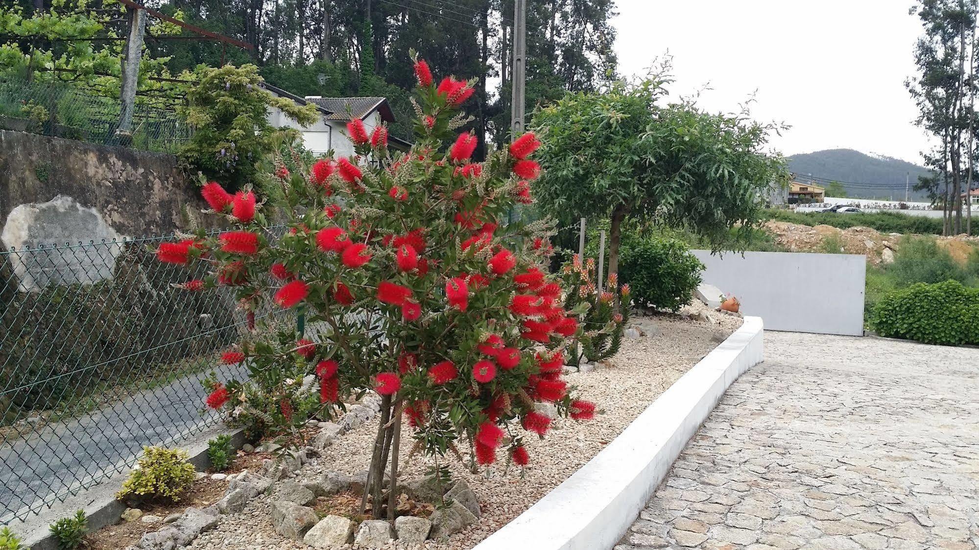 Casa Do Porto Carreiro Βίλα Oliveira de Azemeis Εξωτερικό φωτογραφία